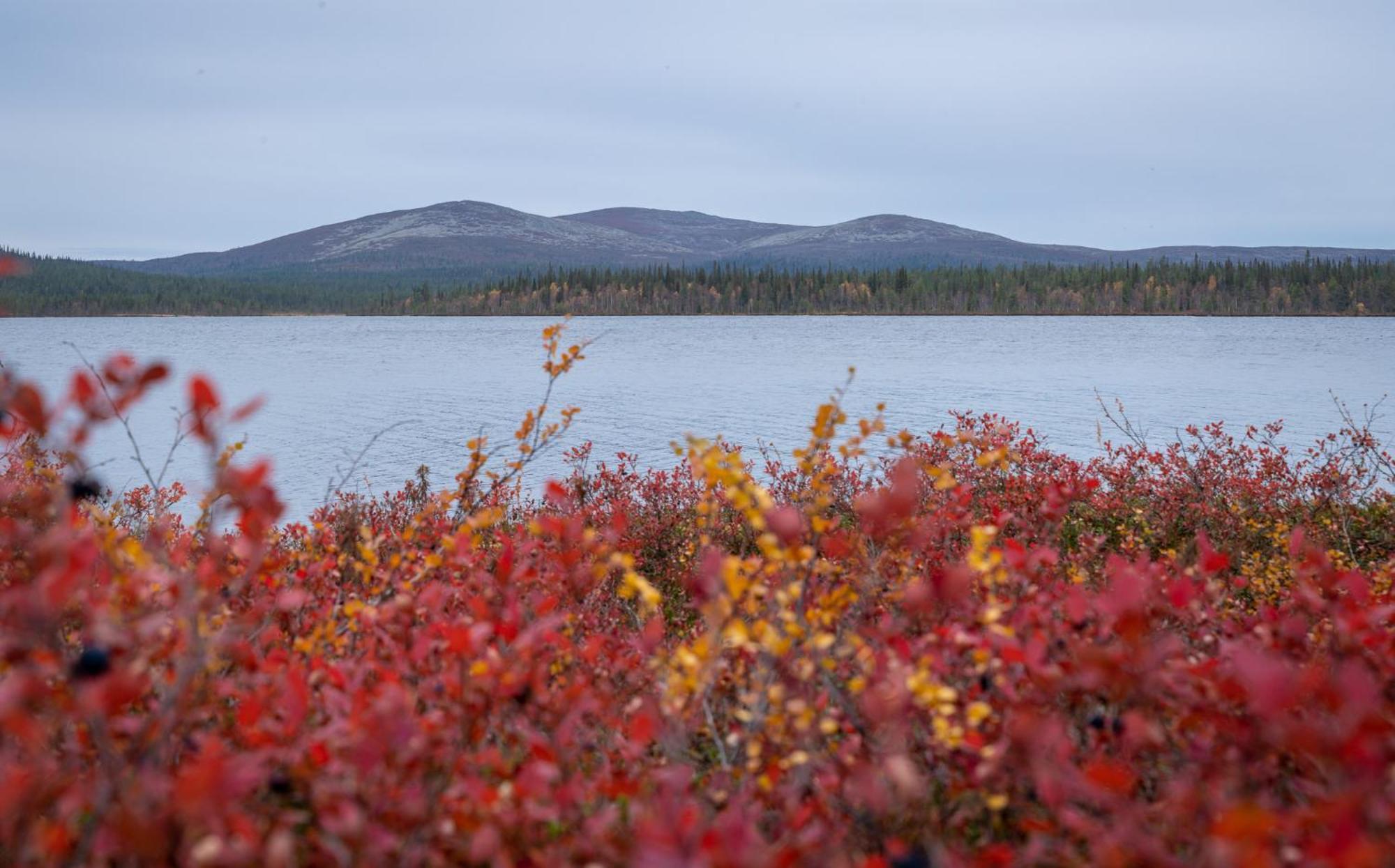 Fell Centre Kiilopaeae, Hotelli Niilanpaeae Saariselka Exteriér fotografie