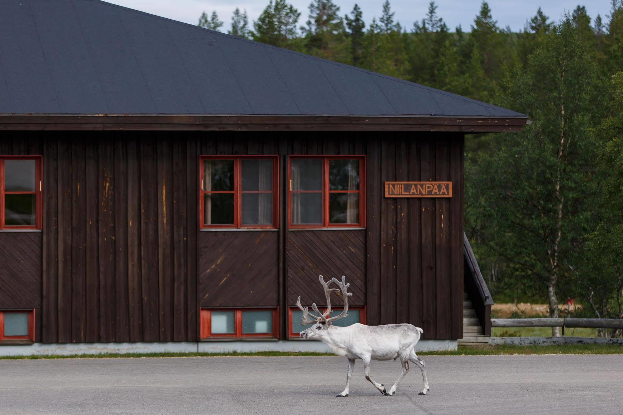 Fell Centre Kiilopaeae, Hotelli Niilanpaeae Saariselka Exteriér fotografie
